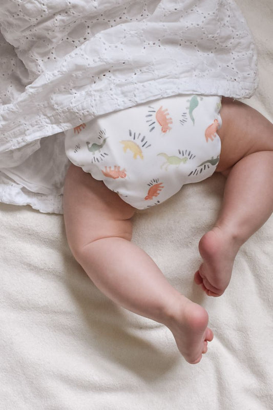 Reusable diaper